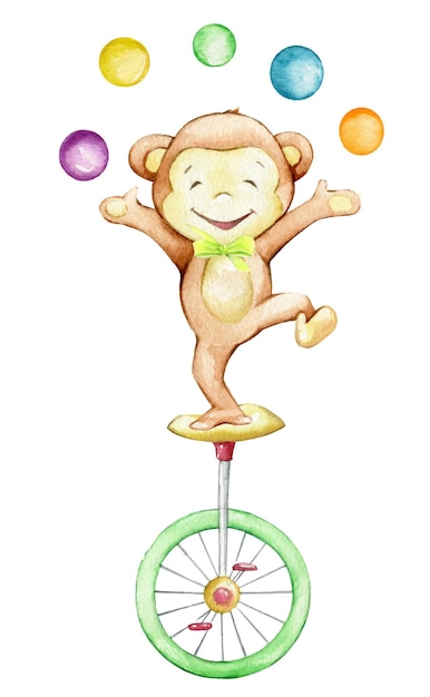 Vetor macaco fofo, de bicicleta, malabarismo, bolas coloridas. clipart em aquarela