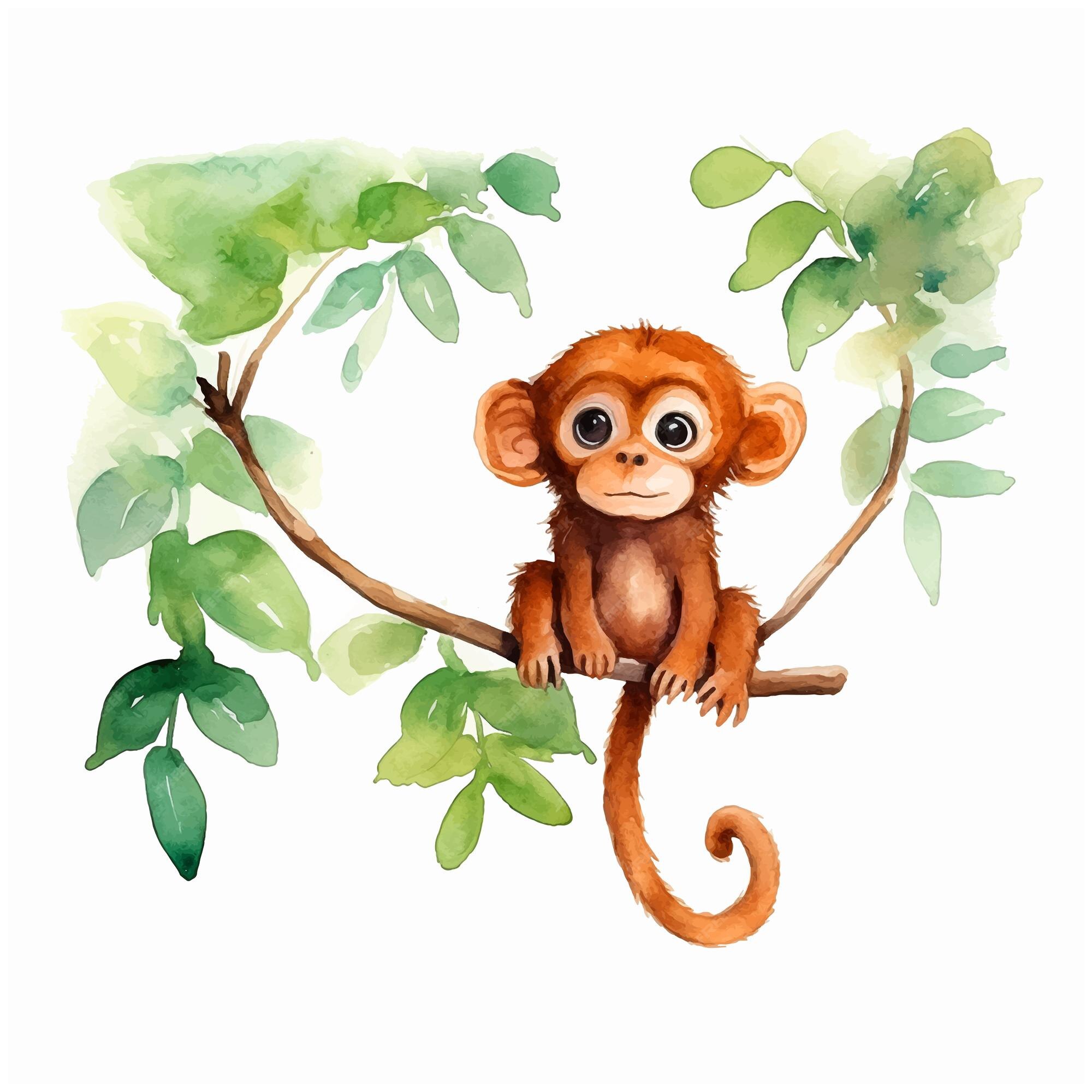 Desenho de Macaco pendurado em um galho pintado e colorido por Usuário não  registrado o dia 19 de Maio do 2017