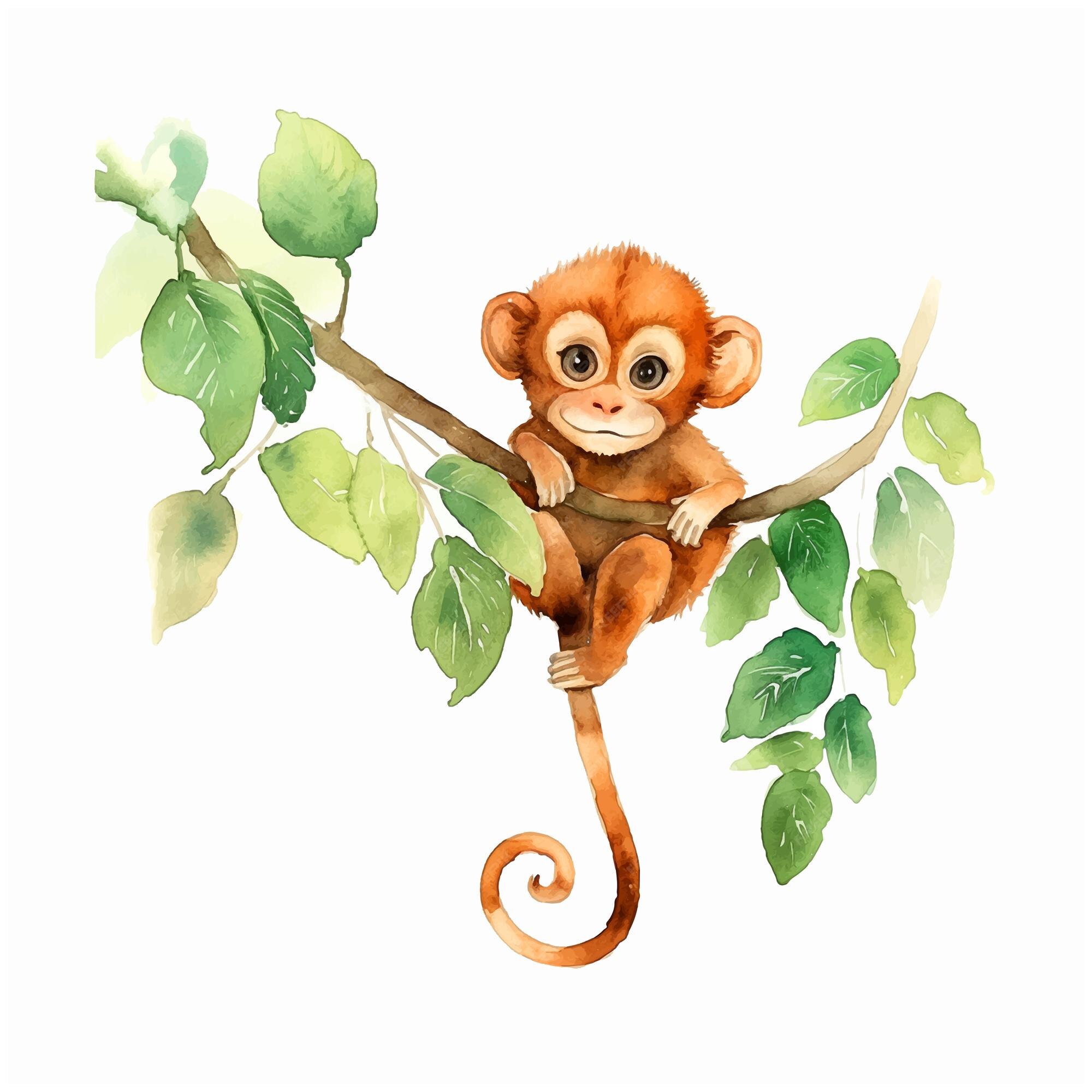 Macaco De Desenho Animado Pendurado E Conserva Banana No Galho De árvore  Ilustração do Vetor - Ilustração de planta, animal: 181581047