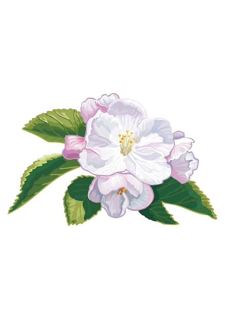 Macieira em flor isolada em ilustração vetorial de fundo branco em estilo plano