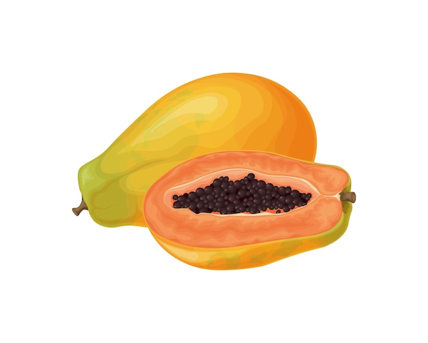 Mamão Mamão doce fresco Frutas maduras Frutas exóticas Mamão no corte Ilustração vetorial isolada em um fundo branco