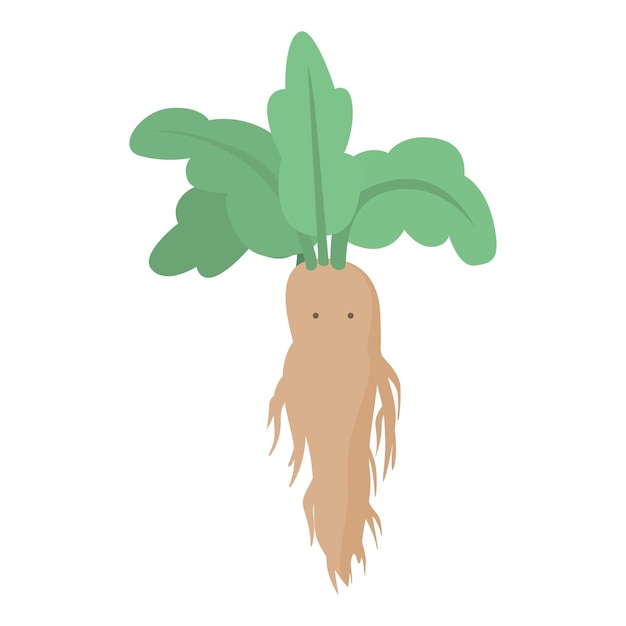 Mandrake personagem ícone desenho animado vetor raiz mágica