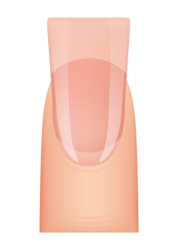 Vetor manicure de forma de unha tipo de extensão de unha modelo de manicure profissional tipo de moda de salão