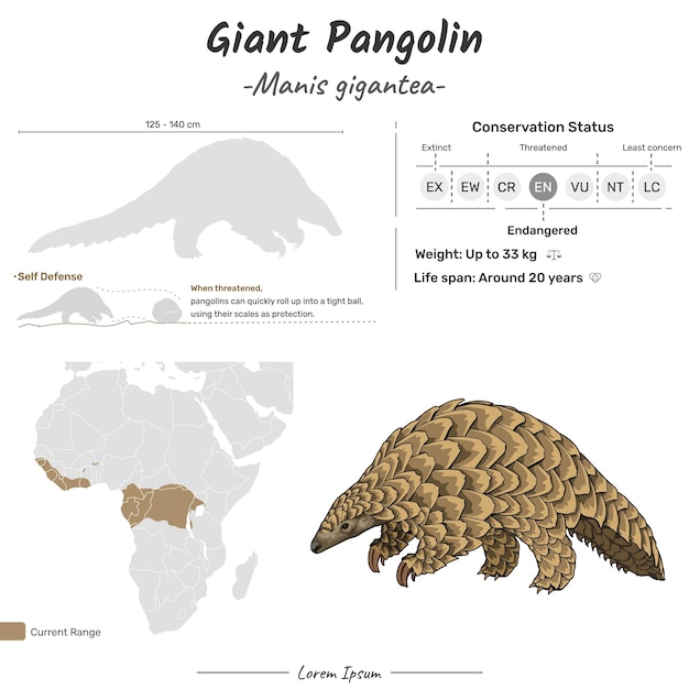 Vetor manis gigantea pangolim gigante área geográfica de distribuição