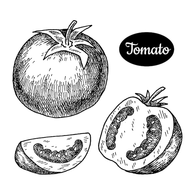 Mão de tomate desenhada.