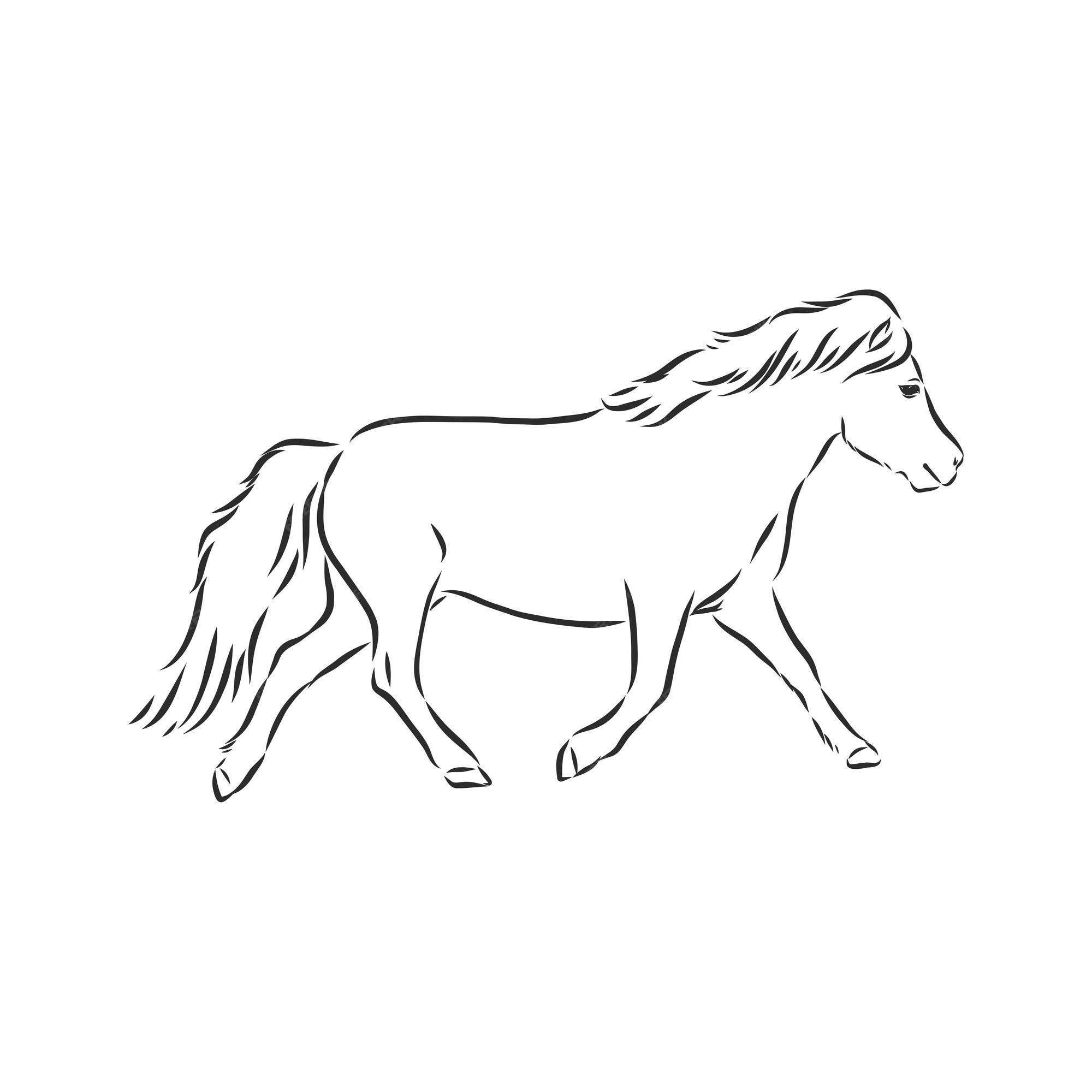 Vetores de Como Desenhar Cavalo Cavalo De Desenho Fácil Para