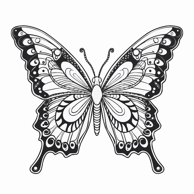 Vetor mão desenhada animal mandala ilustração livro para colorir ou página para crianças borboleta preto e branco