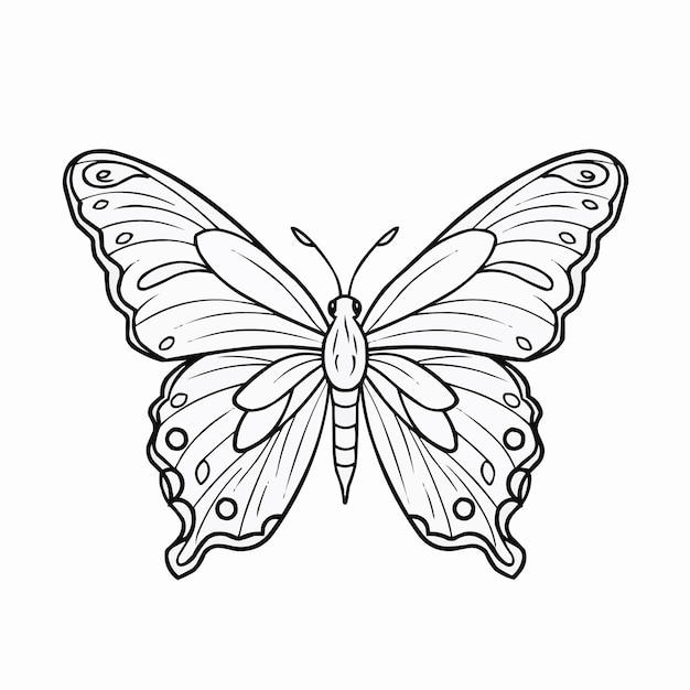 Vetor mão desenhada animal mandala ilustração livro para colorir ou página para crianças borboleta preto e branco
