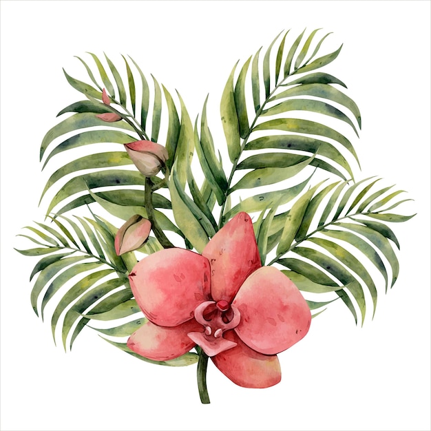 Mão desenhada aquarela tropical clipart flores tropicais ilustração botânica orquídea palmeira