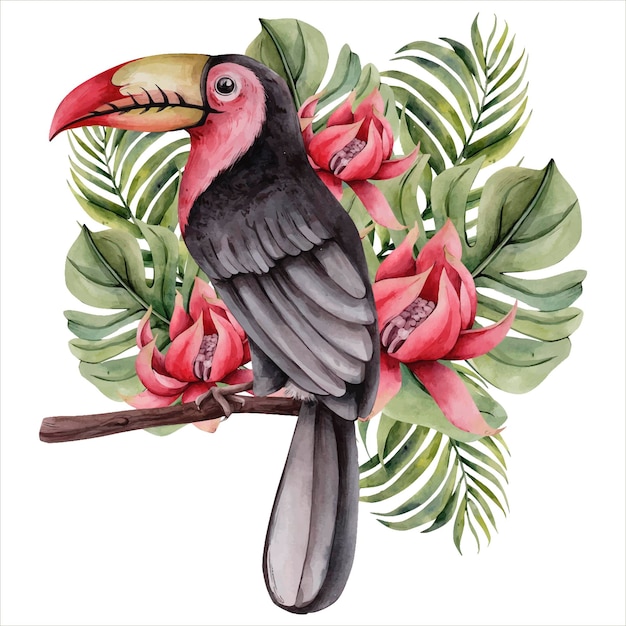 Vetor mão desenhada aquarela tropical clipart tucano tropical pássaro com flores ilustração botânica