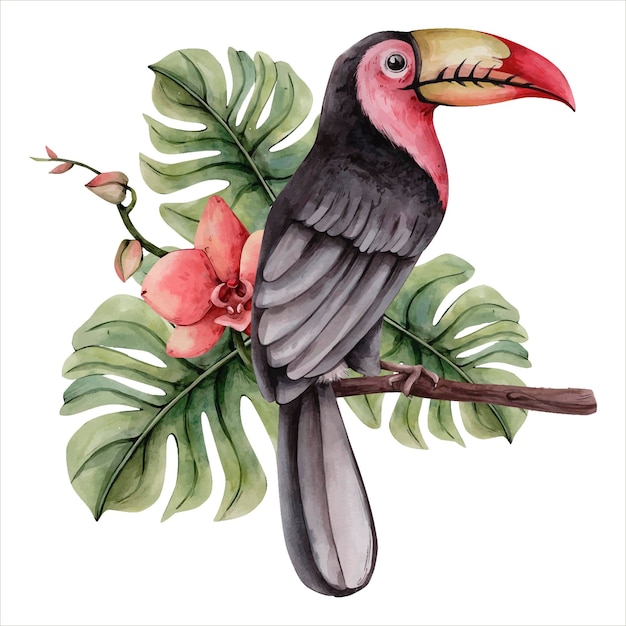Vetor mão desenhada aquarela tropical clipart tucano tropical pássaro com flores ilustração botânica