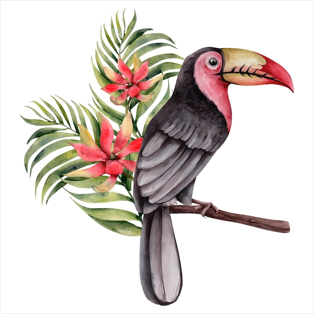 Mão desenhada aquarela tropical clipart tucano tropical pássaro com flores ilustração botânica