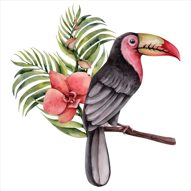 Mão desenhada aquarela tropical clipart tucano tropical pássaro com flores ilustração botânica
