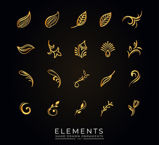 Mão desenhada coleção de elementos de flores botânicas dourada