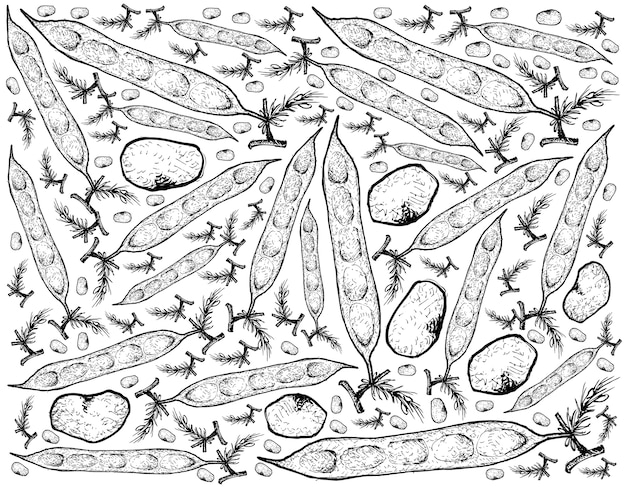 Vetor mão desenhada de cluster bean fresco ou guar