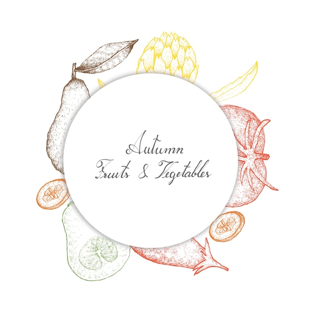 Mão desenhada de frutas e legumes outono