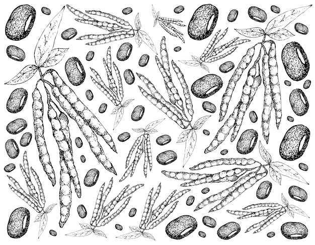 Vetor mão desenhada de fundo de plantas de feijão adzuki