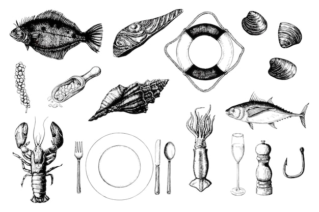Mão desenhada do conceito de frutos do mar