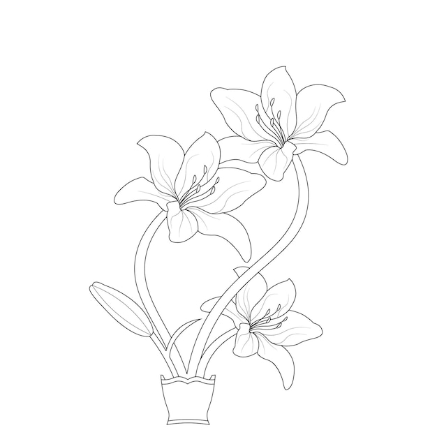 Vetor mão desenhada flor de lírio para colorir página linha arte ilustração