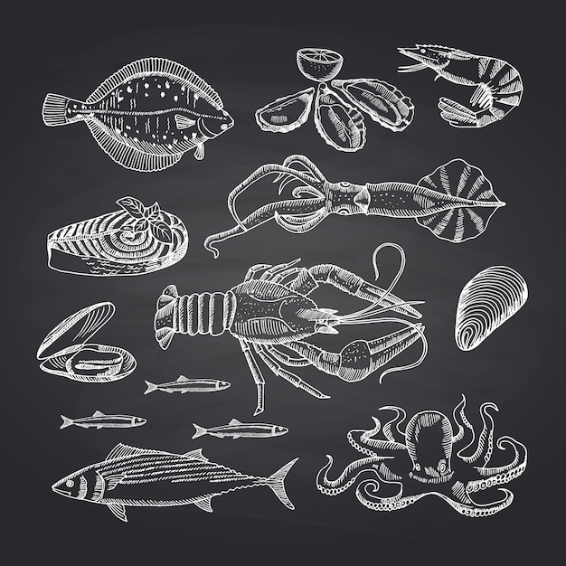 mão desenhada frutos do mar elementos no quadro negro definido. Ilustração, de, marisco, esboço, ostra, e, camarão, carangueijo, e, lagosta