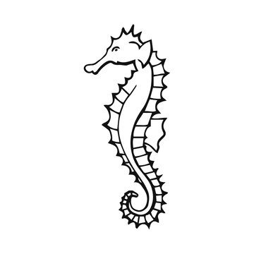 Cavalo marinho  Seahorse tattoo, Seahorse drawing, Animal drawings