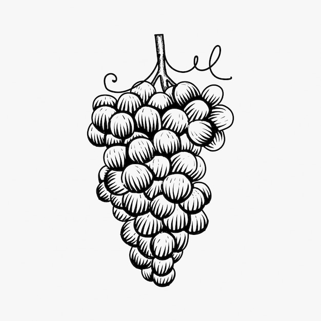 Mão desenhada inspiração de design de logotipo de uvas