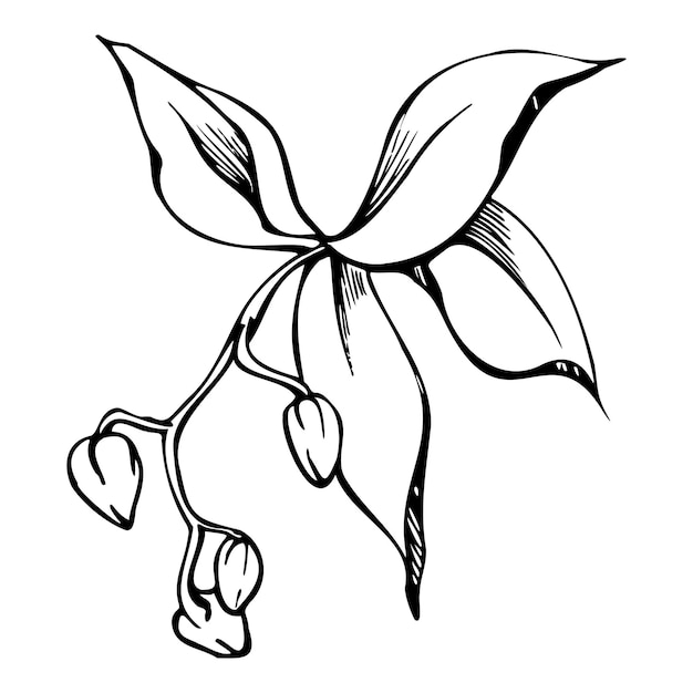 Mão desenhada vector tinta orquídea flores e ramos contorno detalhado monocromático composição da grinalda do círculo isolado no fundo branco design para cartão de capa de tatuagem de impressão de casamento de arte de parede