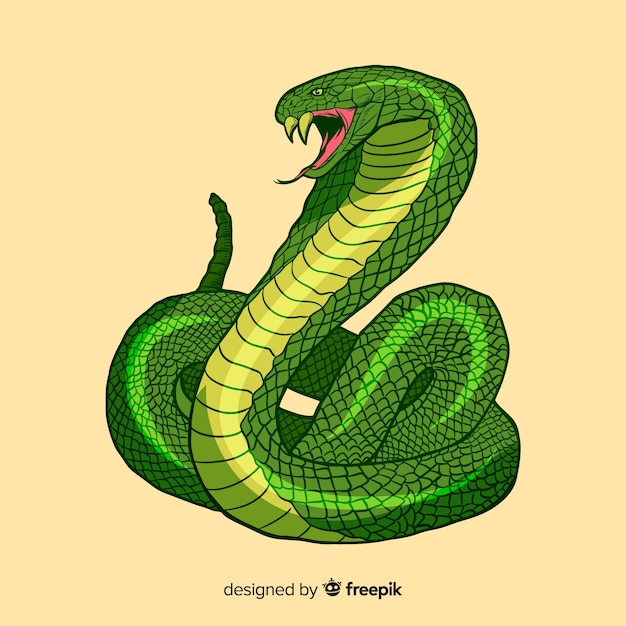 Vetor mão, desenhado, cobra, ilustração