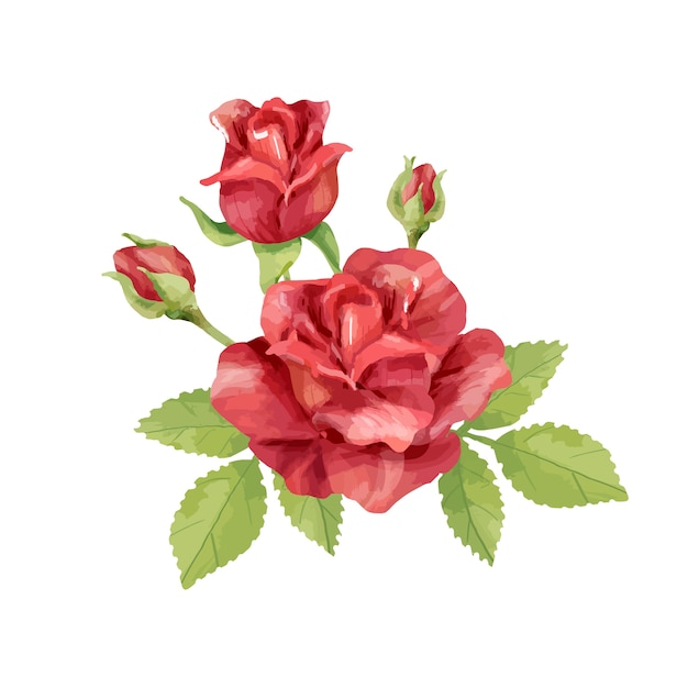 Mão, desenhado, rosa, flor, ilustração