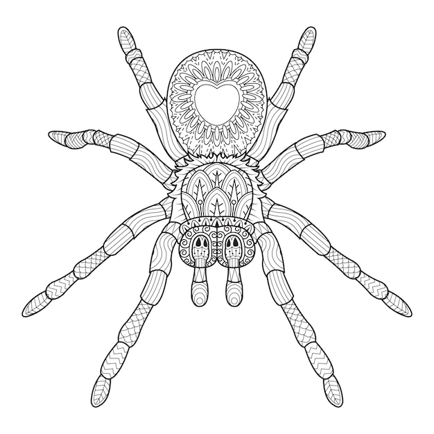 Mão desenhar de aranha no estilo zentangle.