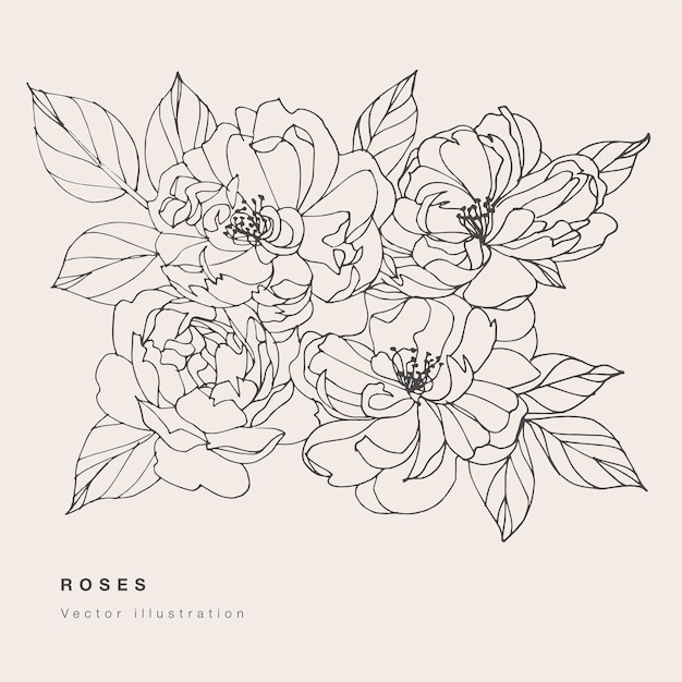 Mão desenhar ilustração em vetor chá rosa flores. guirlanda floral. cartão floral botânico em fundo branco.