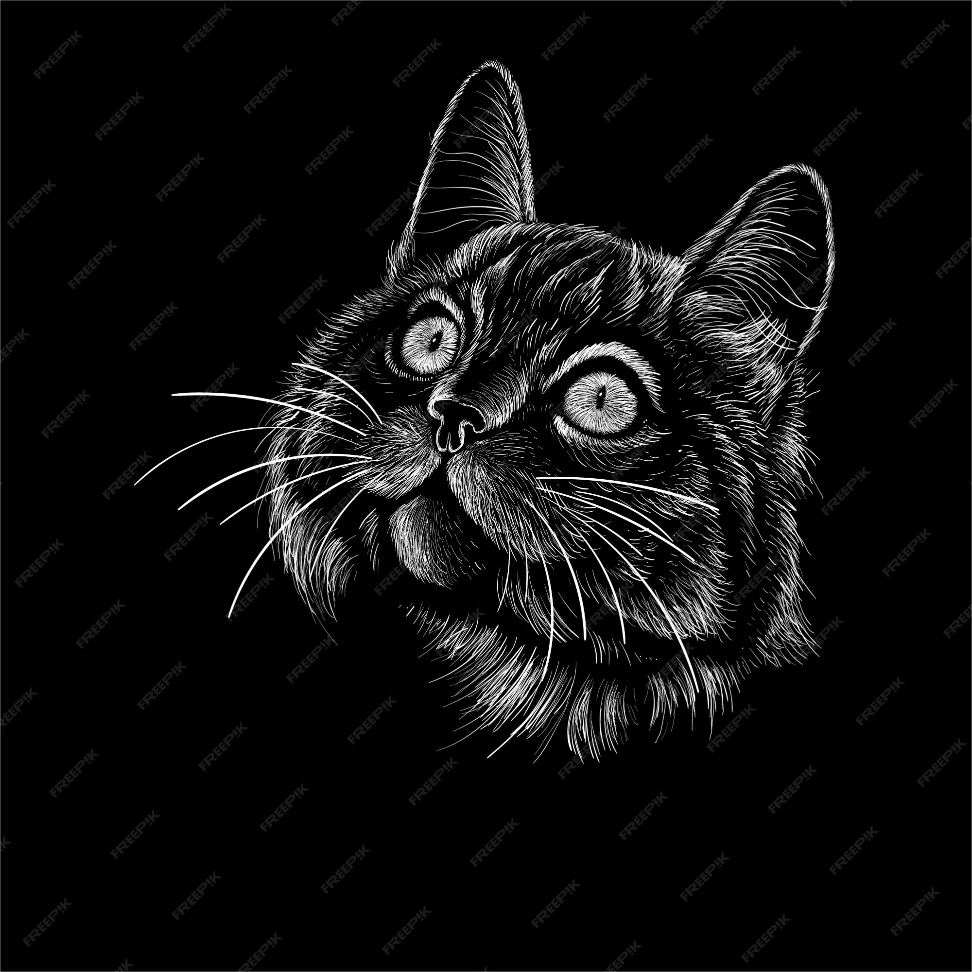 cabeça de gato preto e branco desenho à mão 1314108 Vetor no Vecteezy