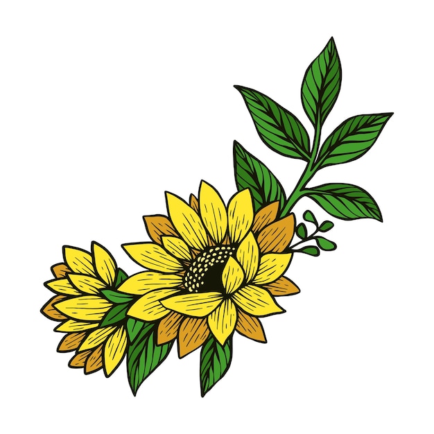 Mão desenho ilustração vetorial folha de girassol folhas flor floral