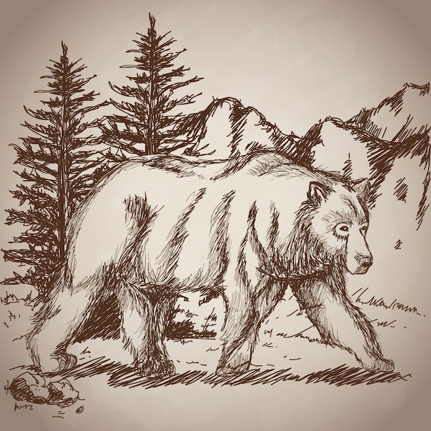 Vetor mão, desenho, urso, andar, vintage, paisagem