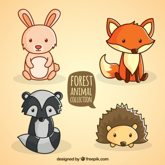 Mão floresta desenhada sentada recolha de animais