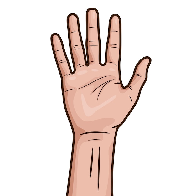 Vetor mão humana levantada para cima com dedos abertos isolados no fundo branco