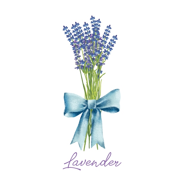 Mão pintada em aquarela buquê de flores de lavanda com arco