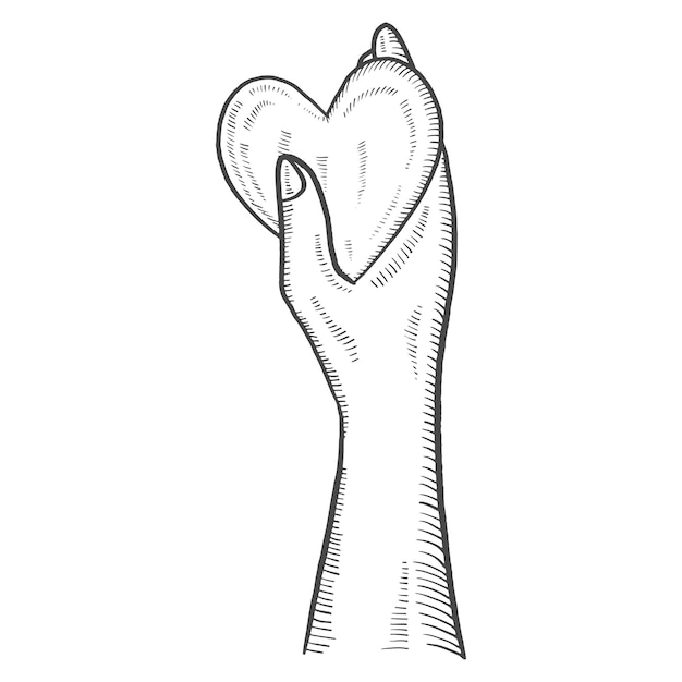 Vetor mão segure o coração caridade humanitária dia internacional isolado doodle esboço desenhado à mão com estilo de contorno