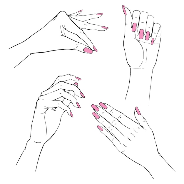 Vetor mãos de manicure. coleção de mão desenhada elegante mulher com as mãos em vários gestos.