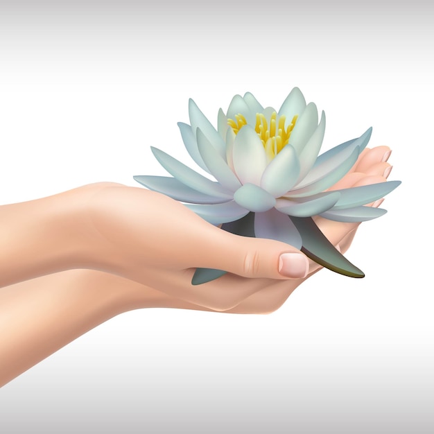 mãos segurando água Lilly ou lotus