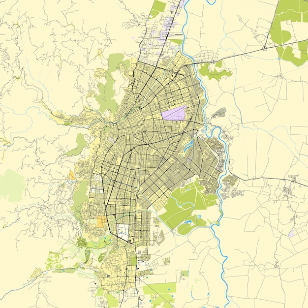 Vetor mapa da cidade de cali valle del cauca, colômbia