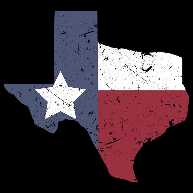 Vetor mapa de texas