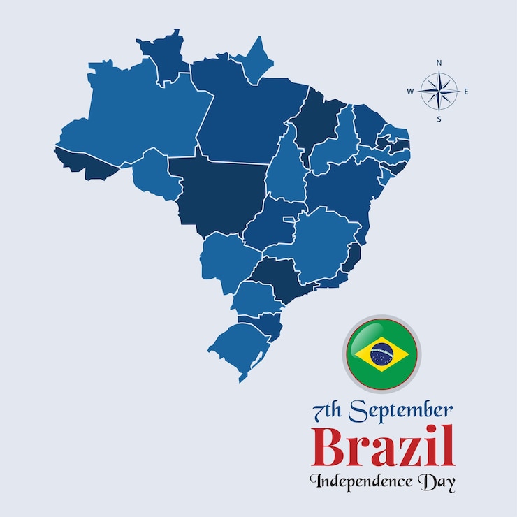 Vetor mapa do brasil com bandeira mapa da bandeira do brasil