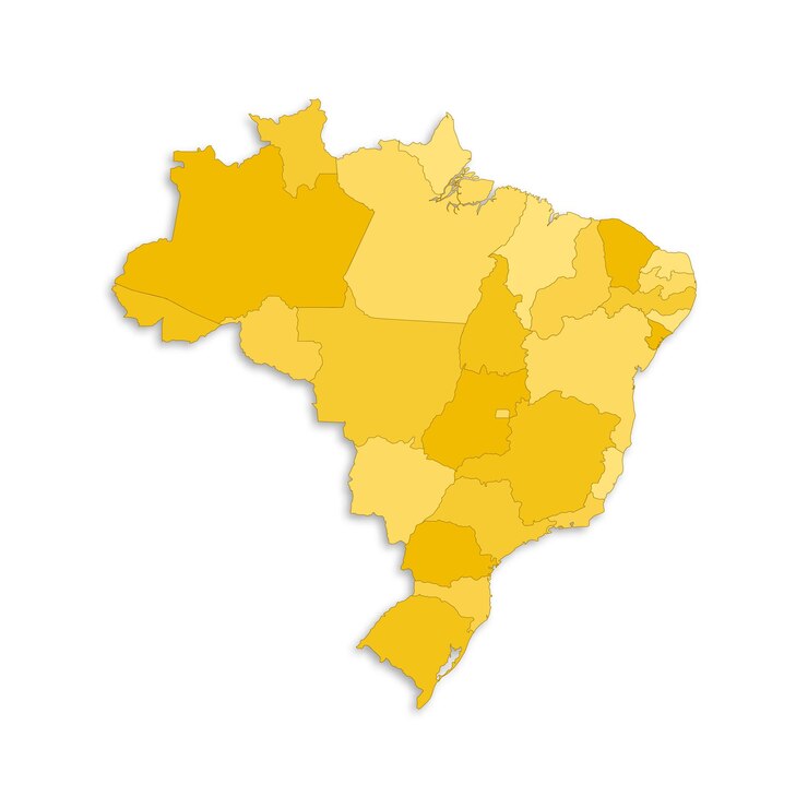 Vetor mapa do brasil com regiões de fronteira destacadas estados isolados em fundo branco mapa modelo do brasil ilustração vetorial detalhada