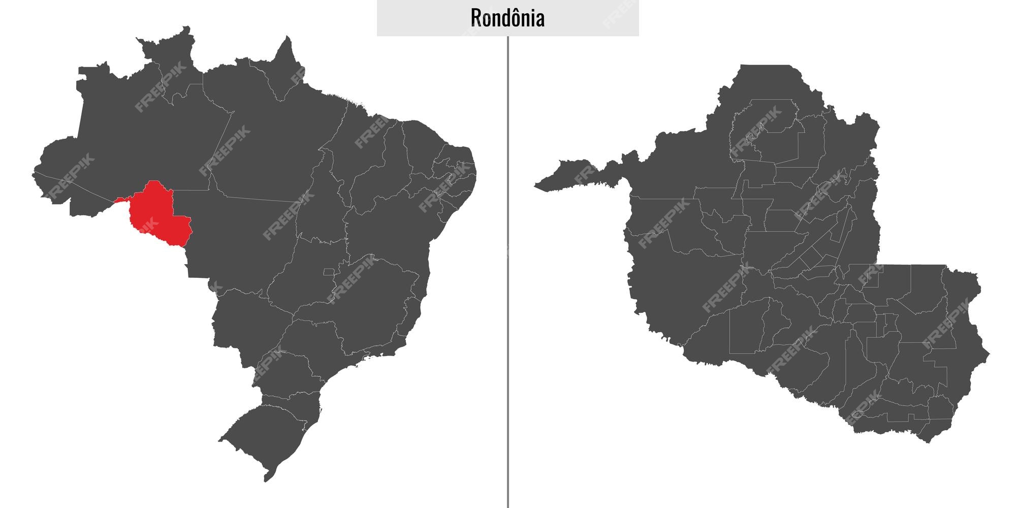 Mapa do Brasil, Estado de Rondônia e delimitação das Matas de