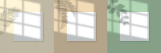Vetor maquete de pôster quadrado com efeito de sombra de sobreposição de folhas e janela fundo bege vetor eps 10