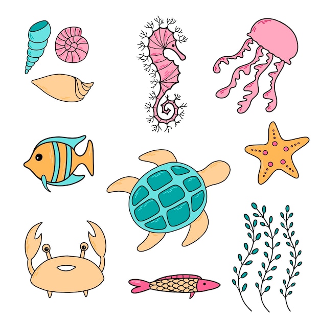Mar ou oceano debaixo d'água animal aquático estrela do mar algas água-viva caranguejo tartaruga cavalo marinho concha peixes