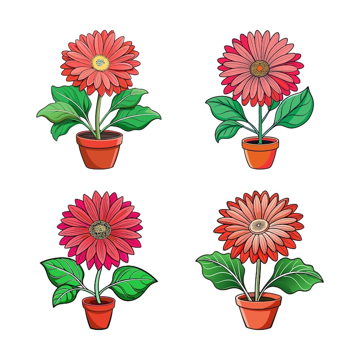 Vetor margaridas de gerbera em vaso