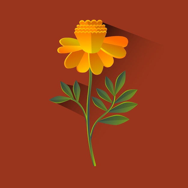 Marigold flower blossom brown background