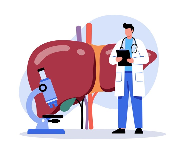 Vetor médico examinando um fígado humano simplificado com clipboard e microscópio